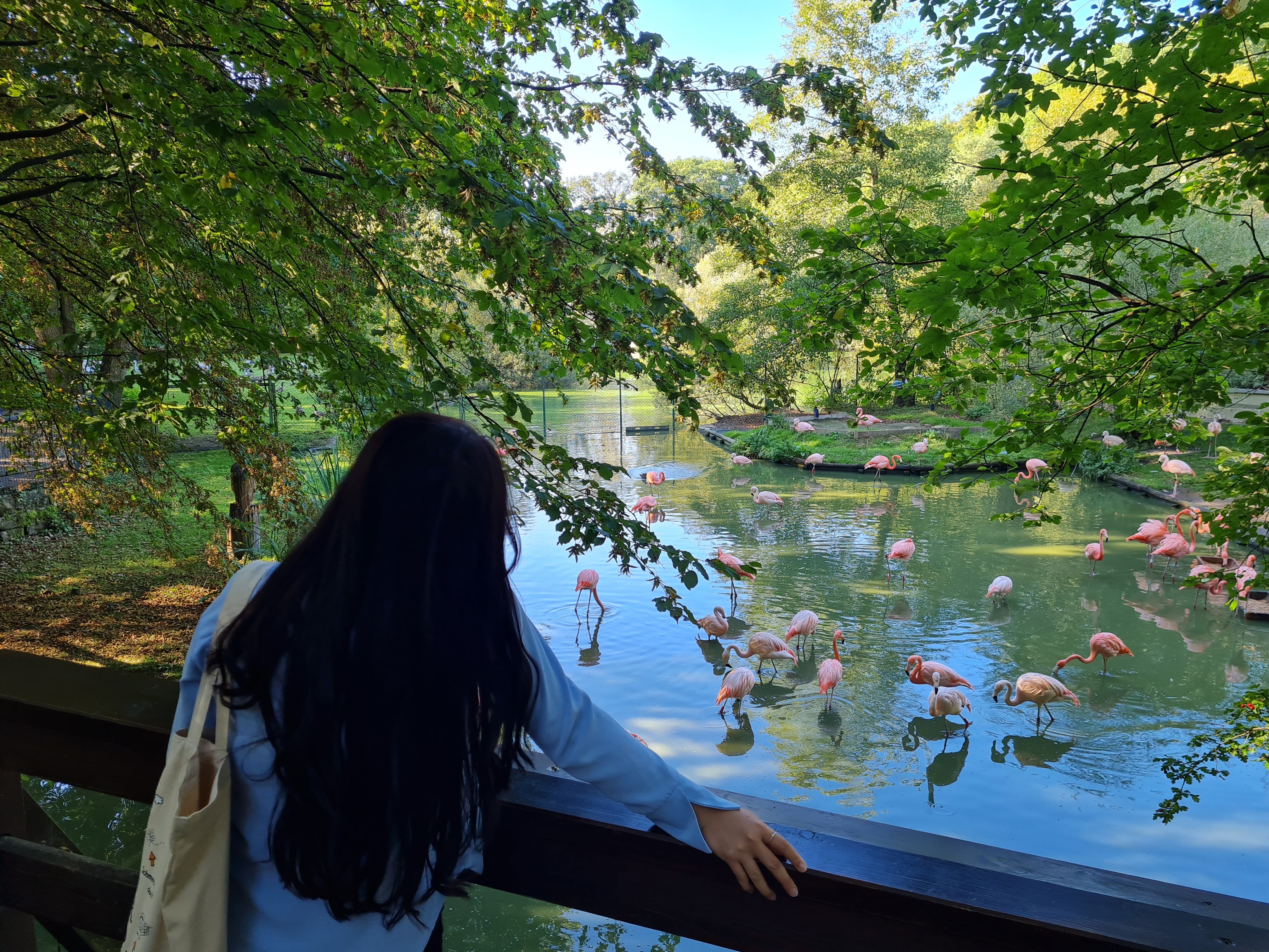 Wunderschöne Landschaft des Zoos