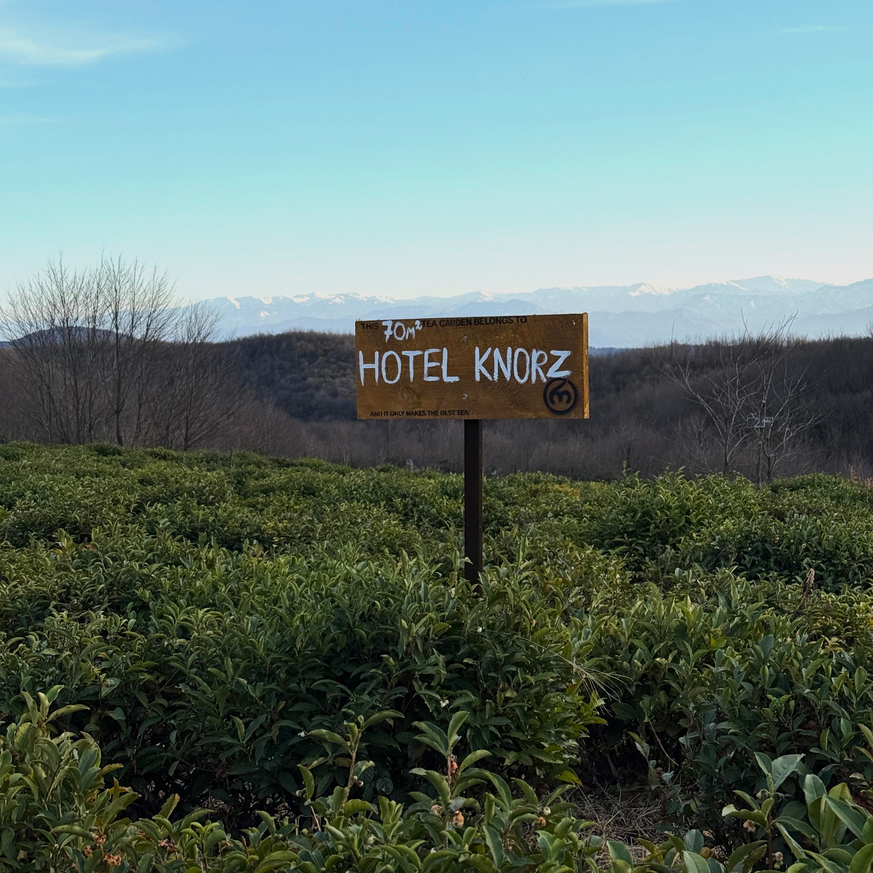 Renegade Tea Estate